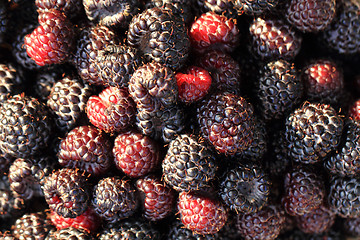 Image showing blackberries background