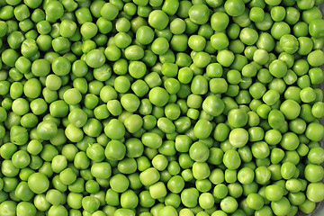 Image showing green pea background