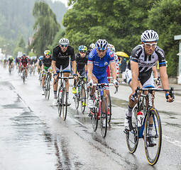 Image showing The Peloton Riding in the Rain - Tour de France 2014