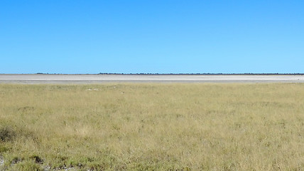 Image showing Makgadikgadi Pan