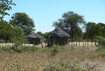 Image showing indigenous village at makgadikgadi