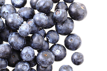 Image showing blueberries isolated