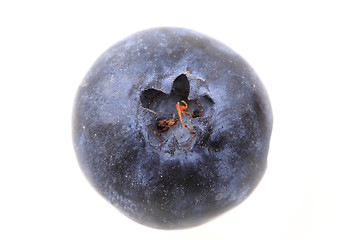 Image showing blueberry isolated