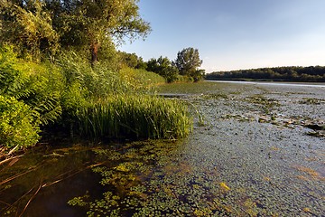 Image showing Peaceful place at the pond