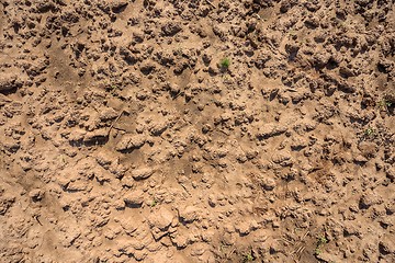 Image showing Dry soil closeup before rain