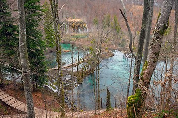 Image showing Wooden path trough the lakes