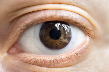Image showing Brown eye with lens