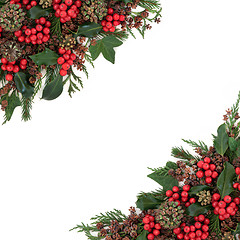 Image showing Winter Holly Border