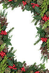 Image showing Holly and Winter Flora Border