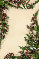 Image showing Abstract Cedar Cypress Border