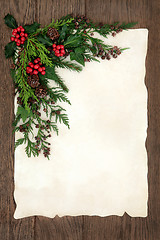 Image showing Christmas Floral Border