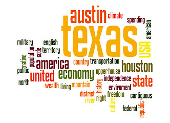 Image showing Texas word cloud