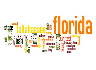 Image showing Florida word cloud