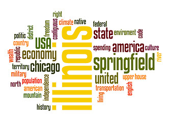 Image showing Illinois word cloud