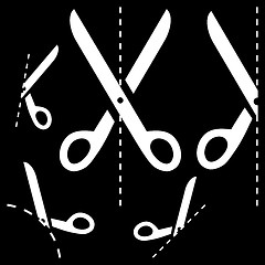 Image showing Scissors