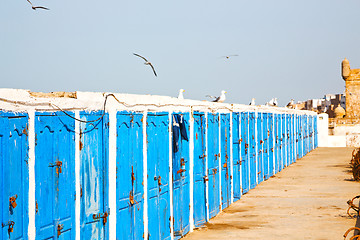 Image showing in africa morocco  old harbor wood  bird