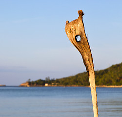 Image showing  sunrise in  kho   bay isle   beach    rocks  cane   china sea 