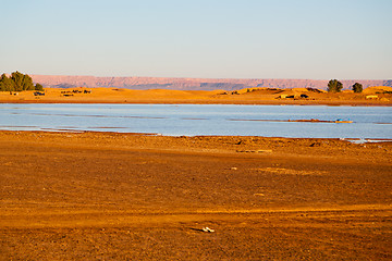 Image showing sunshine in   yellow  desert  sand and     dune