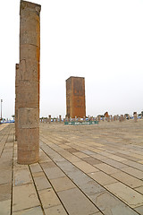 Image showing the   chellah  in morocco africa       old  monument and site