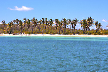 Image showing isla contoy   in mexico day  wave