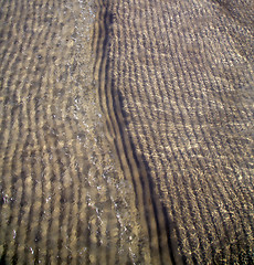 Image showing   and the beach abstract thailand kho tao  