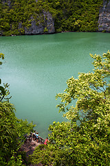 Image showing   abstract of a green lagoon and water  people