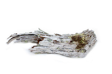 Image showing  wood is very old on white background