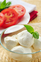 Image showing Bocconcini cheese