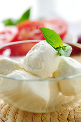 Image showing Bocconcini cheese