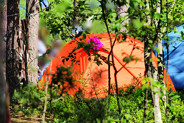 Image showing camping outdoor with  tent in woods in summer 