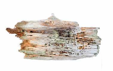 Image showing real old wood from protected forests