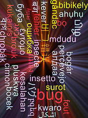 Image showing Bug multilanguage wordcloud background concept glowing