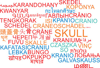 Image showing Skull multilanguage wordcloud background concept