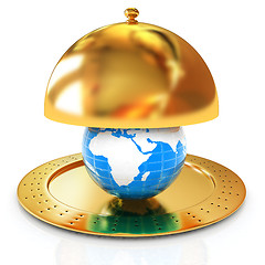 Image showing Serving dome or Cloche and Earth