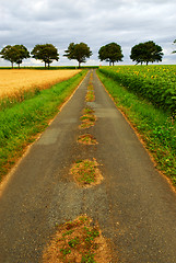 Image showing Road in rural France