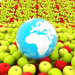 Image showing apples background and Earth. Global concept Thanksgiving Day