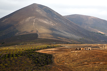 Image showing home  cultivation barrel