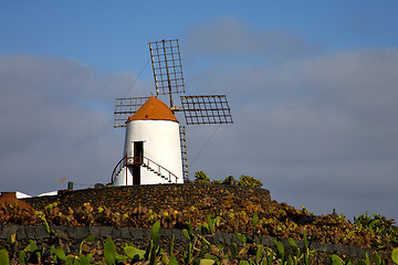 Image showing cactus windmills   africa spain   and  sky 