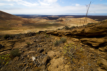 Image showing timanfaya sky  hill and summer  lanzarote spain plant flower bus