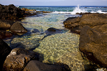Image showing froth coastline in lanzarote spain     musk  and summer    