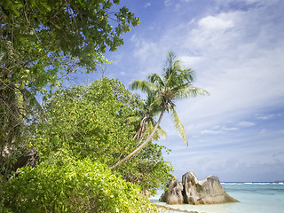 Image showing La Digue island  beach