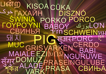 Image showing Pig multilanguage wordcloud background concept glowing