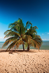 Image showing Beach on tropical island. Clear blue water, sand, palms. 