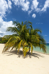 Image showing Beach on tropical island. Clear blue water, sand, palms. 