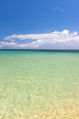 Image showing Beach on tropical island. Clear blue water and sky 