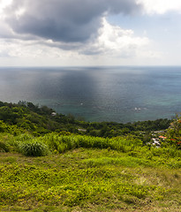 Image showing Caribbean beach on the northern coast of Jamaica