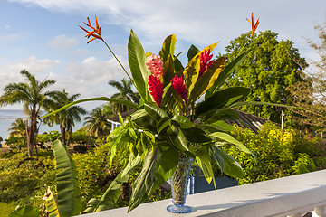 Image showing beautiful tropical red ginger flowers