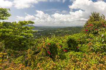 Image showing Caribbean beach on the northern coast of Jamaica