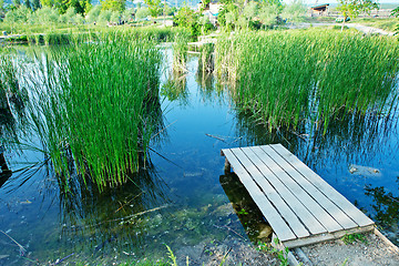 Image showing Lake in Crimea