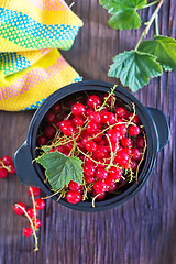 Image showing red currant